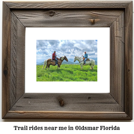 trail rides near me in Oldsmar, Florida